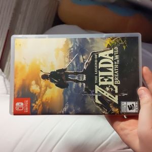 Nintendo Switch Legend of Zelda BOW